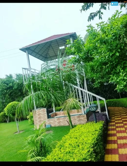 Nirvana Farm house with Lush green garden , pool and Machan . in Noida
