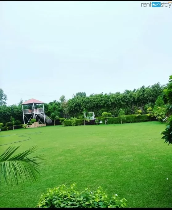 Nirvana Farm house with Lush green garden , pool and Machan . in Noida