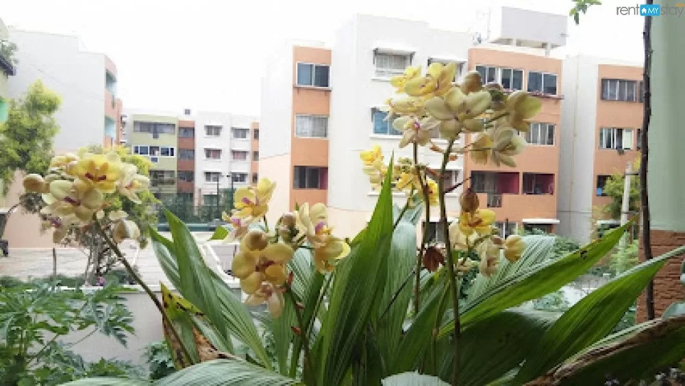 2 BHK, semi furnished apartment , HSR Layout sector-2 in Bangalore 